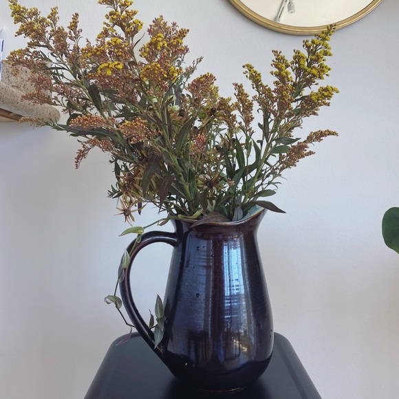 Vintage Red Wing water pitcher with ice lips - Picture 7 of 12